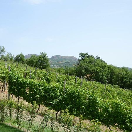 Agriturismo Ca' Del Sartu بوبيو المظهر الخارجي الصورة