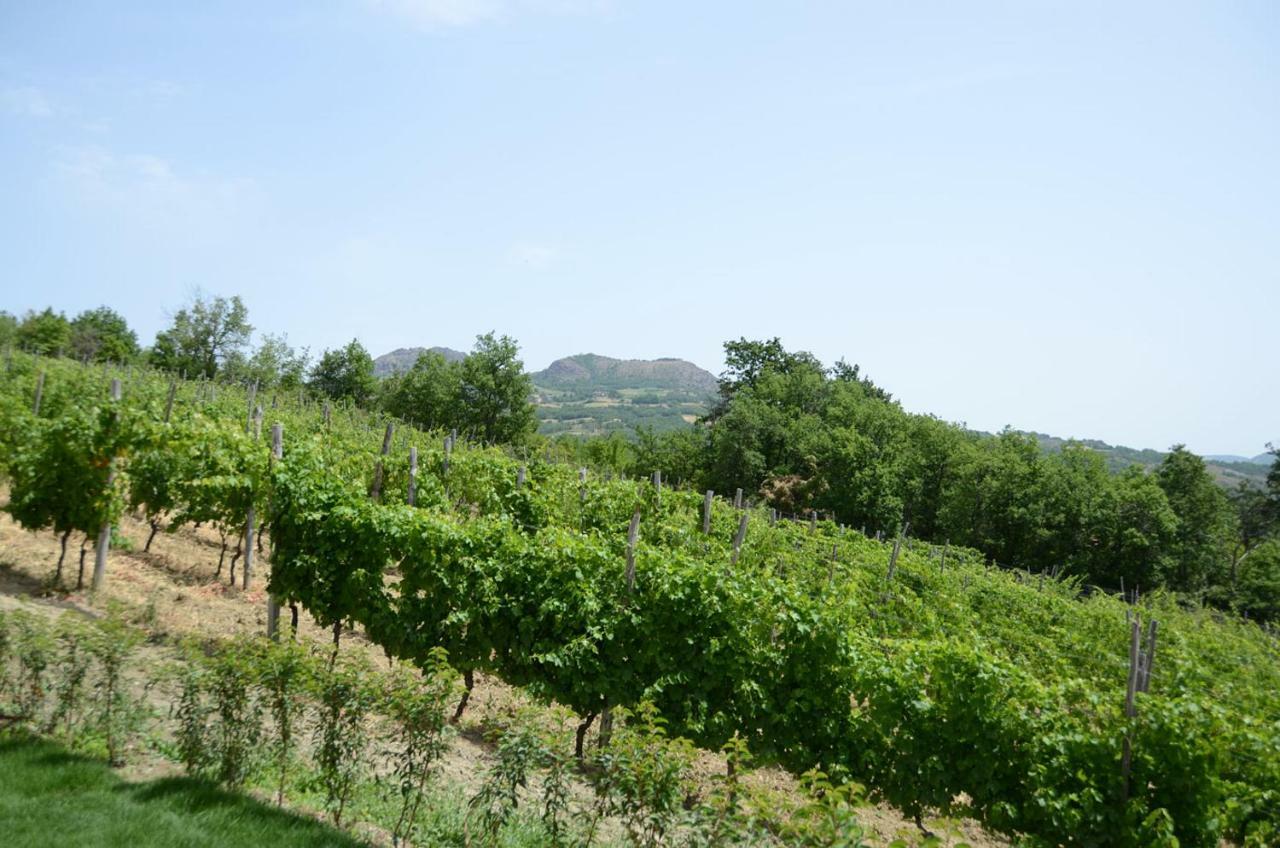 Agriturismo Ca' Del Sartu بوبيو المظهر الخارجي الصورة
